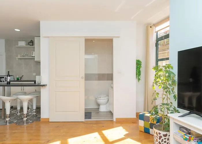 Apartment Sunny Oporto, Douro